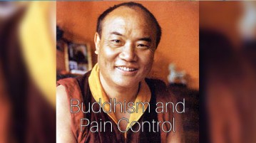 Buddhism and Pain Control