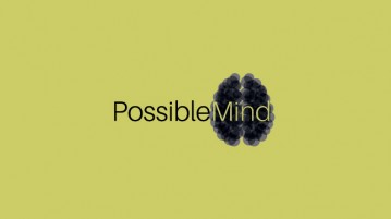 Possible Mind Blog