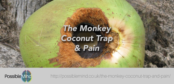 Coconut Trap and Pain