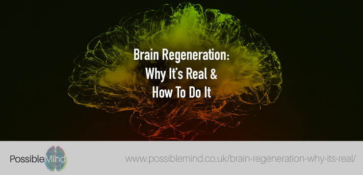 Brain Regeneration: Why It’s Real and How To Do It