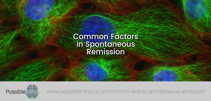 Common Factors in Spontaneous Remission