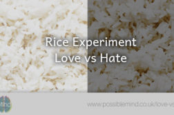 Rice Experiment - Love vs Hate