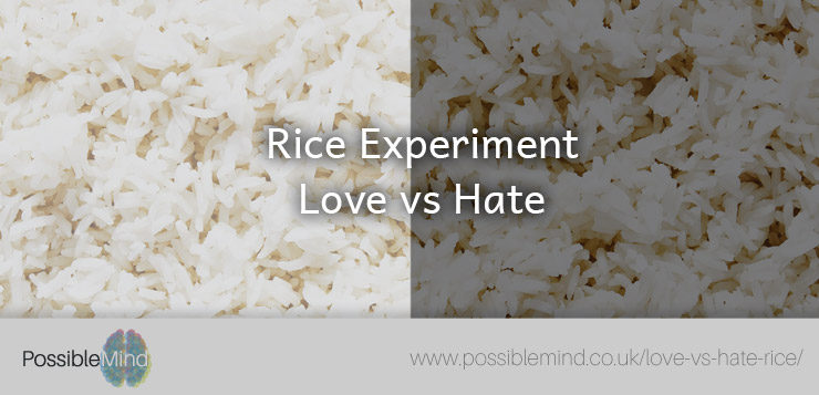 Rice Experiment - Love vs Hate